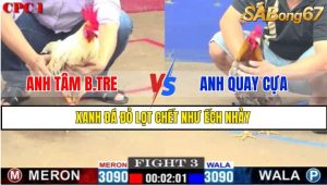 TRẬN 3 CPC1 1/3/2025