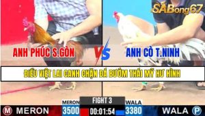 TRẬN 3 CPC3 1/3/2025