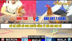 TRẬN 30 CPC1 1/3/2025