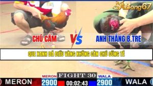 TRẬN 30 CPC1 15/3/2025