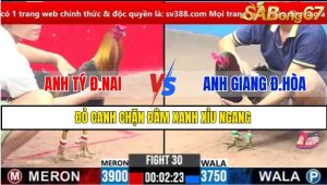 TRẬN 30 CPC3 1/3/2025