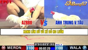 TRẬN 31 CPC1 1/3/2025