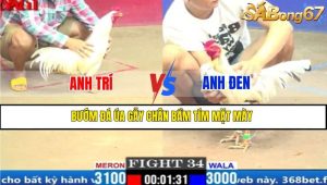 TRẬN 34 CPC1 20/3/2025