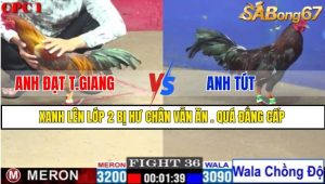 TRẬN 36 CPC1 1/3/2025