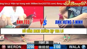 TRẬN 36 CPC3 1/3/202