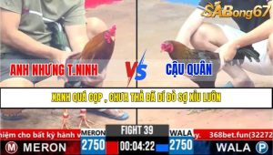 TRẬN 39 CPC3 20/3/2025