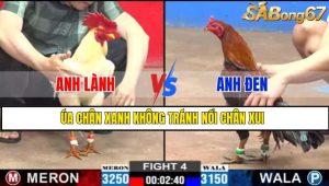 TRẬN 4 CPC2 2/3/2025