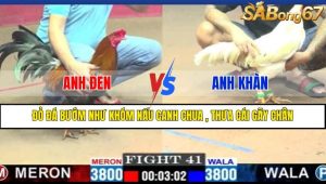 TRẬN 41 CPC1 10/3/2025