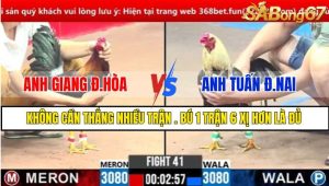 TRẬN 41 CPC3 1/3/2025