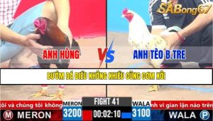 TRẬN 41 CPC3 16/3/2025