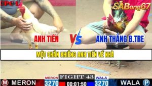 TRẬN 43 CPC1 1/3/2025