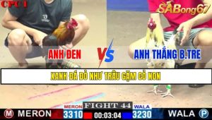 TRẬN 44 CPC1 1/3/2025