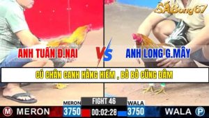 TRẬN 46 CPC3 1/3/2025