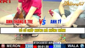 TRẬN 48 CPC1 1/3/2025