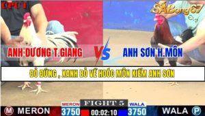 TRẬN 5 CPC1 1/3/2025