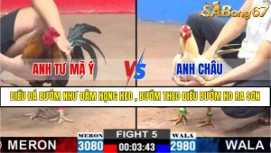 TRẬN 5 CPC2 16/3/2025