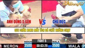 TRẬN 5 CPC3 8/3/2025
