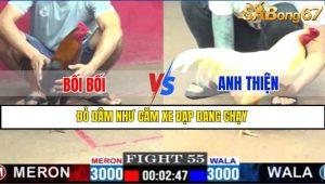 TRẬN 55 CPC1 3/3/2025