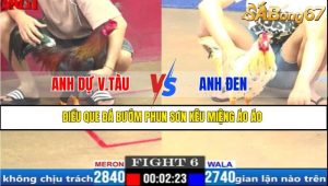 TRẬN 6 CPC1 20/3/2025