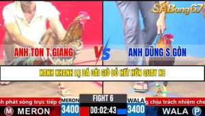 TRẬN 6 CPC3 16/3/2025