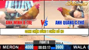 TRẬN 6 CPC3 5/3/2025