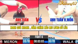 TRẬN 6 CPC3 8/3/2025