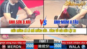 TRẬN 7 CP3 20/3/2025
