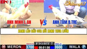 TRẬN 7 CPC1 1/3/2025
