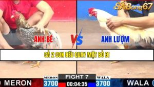 TRẬN 7 CPC2 7/3/2025