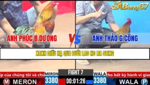 TRẬN 7 CPC3 16/3/2025