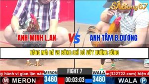 TRẬN 7 CPC3 19/3/2025