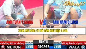 TRẬN 8 CP3 20/3/2025