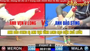 TRẬN 8 CPC2 2/3/2025