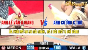 TRẬN 8 CPC3 1/3/2025