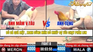 TRẬN 8 CPC3 19/3/2025