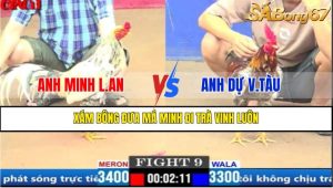 TRẬN 9 CPC1 20/3/2025