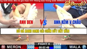 TRẬN 9 CPC2 2/3/2025