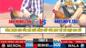 TRẬN 9 CPC3 19/3/2025