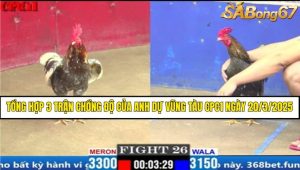 VIDEO 3 TRẬN CHỒNG ĐỘ