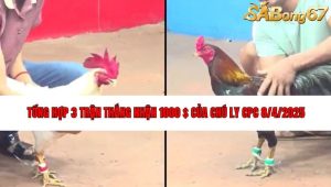 3 trận thắng của chú Ly Campuchia