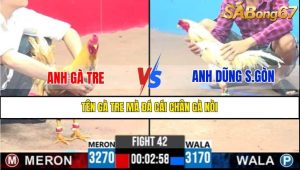 4 trận chồng độ của anh Tửng Bến Tre