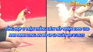 bồ C3 30/4/2025