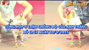 chồng độ bồ CPC3 30/4/2025