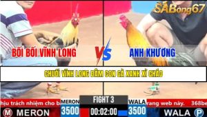 Trận 3 CPC3 5/4/2025