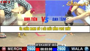 TRẬN 25 C1 27/05/2025