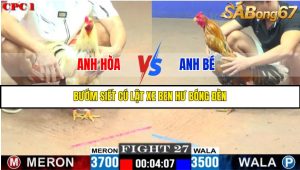 TRẬN 27 C1 27/05/2025