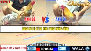 TRẬN 34 C1 27/05/2025