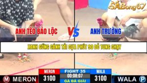 TRẬN 35 CPC3 18/05/2025 : ANH TÈO BẢO LỘC VS ANH TRƯỜNG