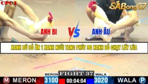 TRẬN 37 C1 27/05/2025