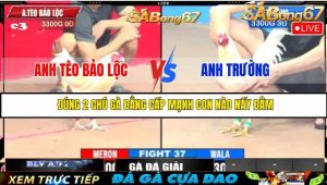 TRẬN 37 CPC3 18/05/2025 : ANH TÈO BẢO LỘC VS ANH TRƯỜNG